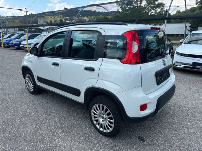 Fiat Panda Gebrauchtwagen Fiat Panda Gebrauchtwagen