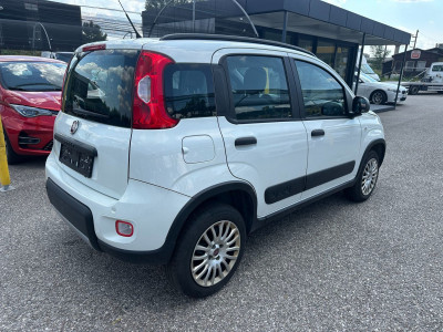 Fiat Panda Gebrauchtwagen Fiat Panda Gebrauchtwagen