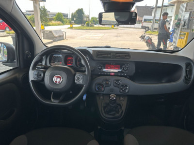 Fiat Panda Gebrauchtwagen Fiat Panda Gebrauchtwagen