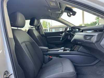 Audi Q8 e-tron Gebrauchtwagen