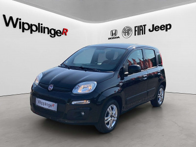 Fiat Panda Gebrauchtwagen Fiat Panda Gebrauchtwagen