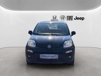 Fiat Panda Gebrauchtwagen Fiat Panda Gebrauchtwagen