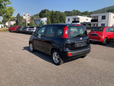 Fiat Panda Gebrauchtwagen Fiat Panda Gebrauchtwagen