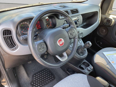 Fiat Panda Gebrauchtwagen Fiat Panda Gebrauchtwagen
