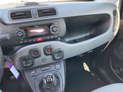 Fiat Panda Gebrauchtwagen Fiat Panda Gebrauchtwagen