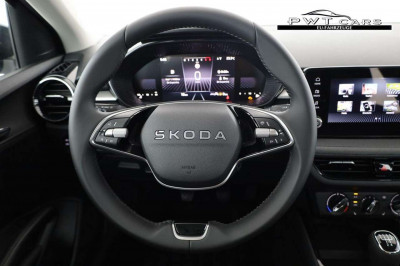 Skoda Fabia Tageszulassung Skoda Fabia Tageszulassung