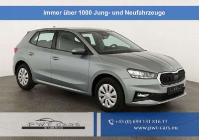 Skoda Fabia Tageszulassung Skoda Fabia Tageszulassung
