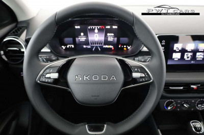 Skoda Fabia Tageszulassung Skoda Fabia Tageszulassung