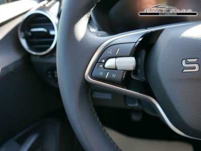 Skoda Fabia Tageszulassung Skoda Fabia Tageszulassung