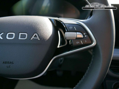 Skoda Fabia Tageszulassung Skoda Fabia Tageszulassung