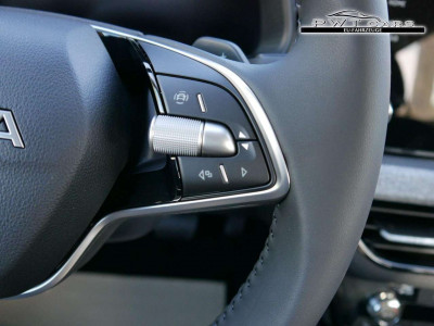 Skoda Scala Tageszulassung Skoda Scala Tageszulassung
