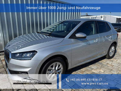 Skoda Fabia Tageszulassung Skoda Fabia Tageszulassung