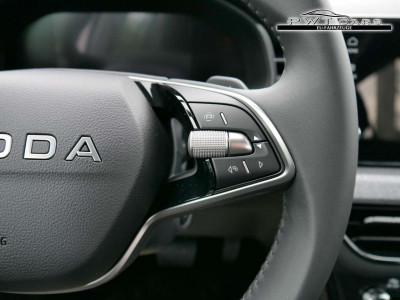 Skoda Scala Tageszulassung Skoda Scala Tageszulassung