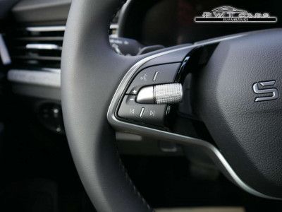 Skoda Kamiq Tageszulassung Skoda Kamiq Tageszulassung