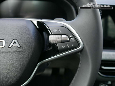 Skoda Kamiq Tageszulassung Skoda Kamiq Tageszulassung