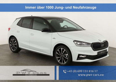 Skoda Fabia Tageszulassung