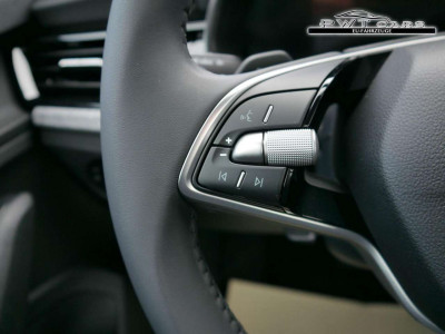 Skoda Kamiq Tageszulassung Skoda Kamiq Tageszulassung