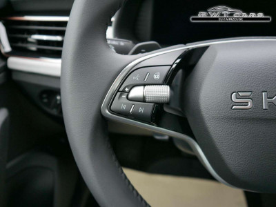 Skoda Kamiq Gebrauchtwagen Skoda Kamiq Gebrauchtwagen