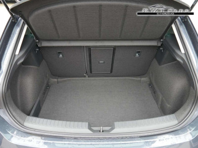 Seat Leon Tageszulassung