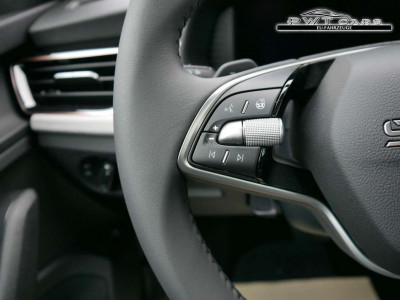 Skoda Kamiq Tageszulassung Skoda Kamiq Tageszulassung