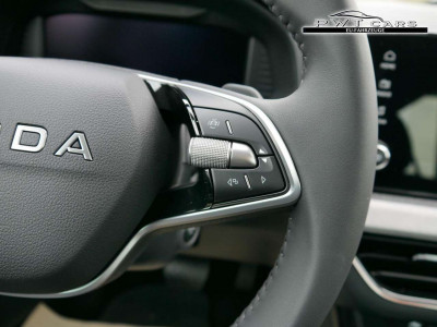 Skoda Kamiq Tageszulassung Skoda Kamiq Tageszulassung