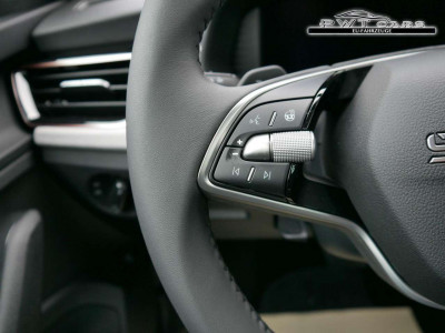 Skoda Kamiq Tageszulassung Skoda Kamiq Tageszulassung