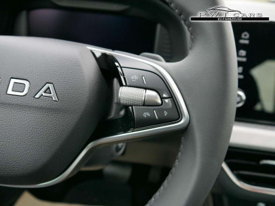 Skoda Kamiq Tageszulassung Skoda Kamiq Tageszulassung