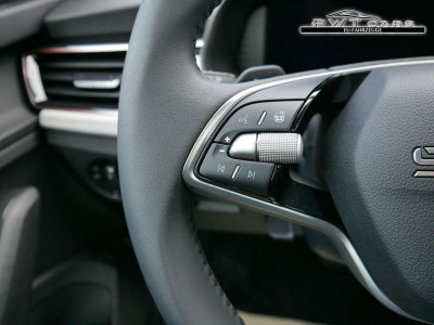 Skoda Kamiq Tageszulassung Skoda Kamiq Tageszulassung