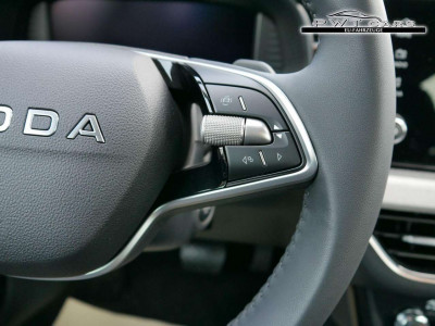 Skoda Kamiq Tageszulassung Skoda Kamiq Tageszulassung