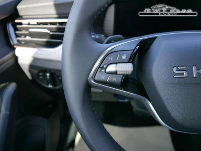 Skoda Kamiq Tageszulassung