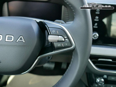 Skoda Kamiq Tageszulassung