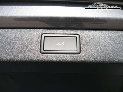 Skoda Kamiq Tageszulassung