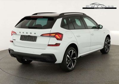 Skoda Kamiq Tageszulassung