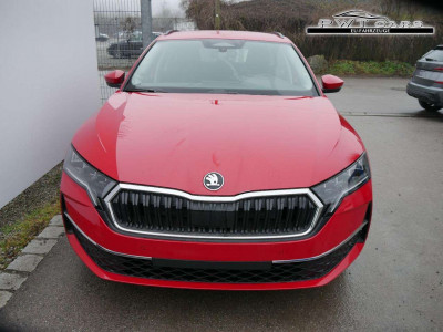 Skoda Octavia Tageszulassung Skoda Octavia Tageszulassung