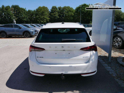 Skoda Octavia Tageszulassung