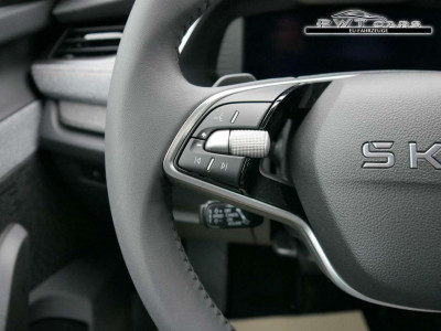 Skoda Octavia Tageszulassung