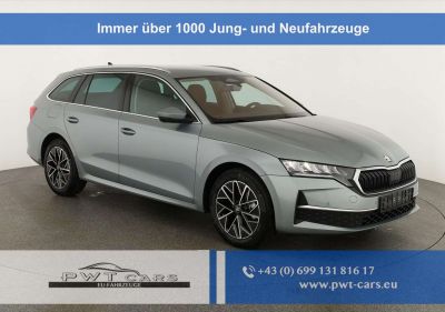 Skoda Octavia Tageszulassung Skoda Octavia Tageszulassung