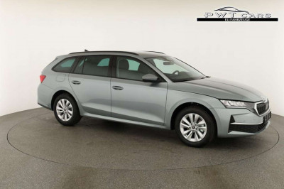 Skoda Octavia Tageszulassung Skoda Octavia Tageszulassung