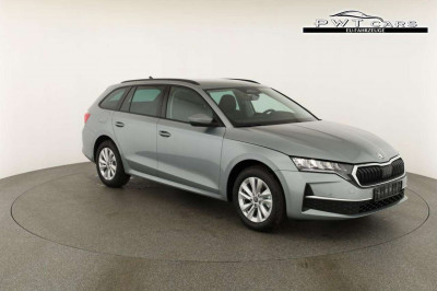 Skoda Octavia Tageszulassung Skoda Octavia Tageszulassung