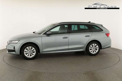 Skoda Octavia Tageszulassung Skoda Octavia Tageszulassung