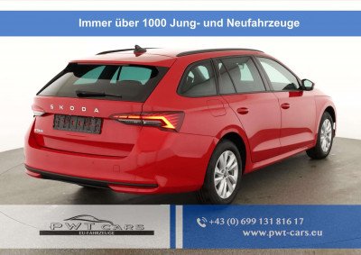 Skoda Octavia Tageszulassung Skoda Octavia Tageszulassung