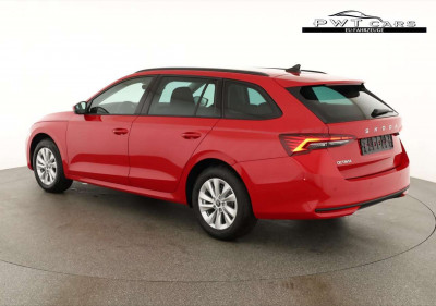 Skoda Octavia Tageszulassung Skoda Octavia Tageszulassung