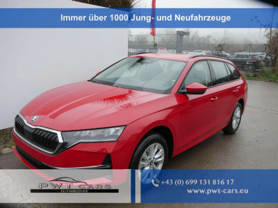 Skoda Octavia Tageszulassung Skoda Octavia Tageszulassung