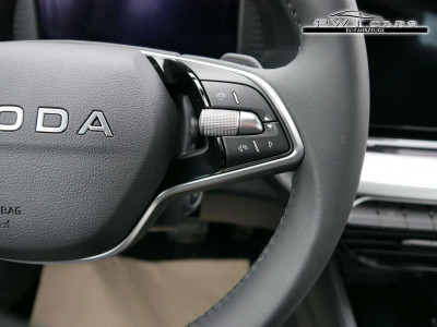 Skoda Octavia Tageszulassung Skoda Octavia Tageszulassung