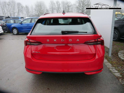 Skoda Octavia Tageszulassung Skoda Octavia Tageszulassung