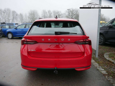 Skoda Octavia Tageszulassung Skoda Octavia Tageszulassung