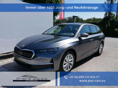 Skoda Octavia Tageszulassung Skoda Octavia Tageszulassung