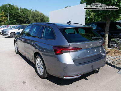 Skoda Octavia Tageszulassung Skoda Octavia Tageszulassung