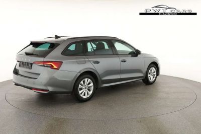 Skoda Octavia Tageszulassung Skoda Octavia Tageszulassung