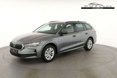 Skoda Octavia Tageszulassung Skoda Octavia Tageszulassung